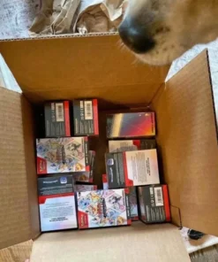 Buying new and sealed Pokémon pallets